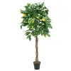 Image de EUROPALMS Citronnier artificiel 180 cm