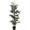 Image de Europalms Plante artificielle Dieffenbachia de bureau, 120 cm