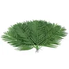 Image de Europalms 82509897 Palmier en coco 110 cm, 12 pièces, multicolore, taille unique