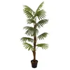 Image de EUROPALMS Fan palm, plante artificielle, 155 cm