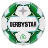 Image de Derbystar Planet APS Balles de jeu Blanc/vert/noir 5