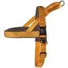 Image de Nobby Classic Preno Harnais Norvégien pour Chien Orange/Gris, L