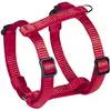 Image de Nobby Harnais Classic Preno Mini Rouge L 30-40 cm l 10 mm 1 pièce