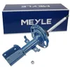 Image de MEYLE 16-26 623 0022 Amortisseur 8200256335