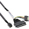 Image de InLine 29620A Câble de raccordement U.2, SSD avec U.2 (SFF-8639) vers SFF-8643 et alimentation 0,5 m Noir