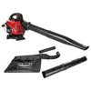 Image de Aspirapolvere termosoffiante SCHEPPACH 4 in 1 - 25,4 CM3 (LBH3500P)