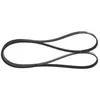 Image de Bosch 1987946239 Courroie trapézoïdale à nervures