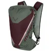 Image de Dynafit Traverse 22 Backpack Sac à Mixte, 5065-sage/Burgundy, M-L