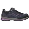 Image de Lowa Delago GTX LO Ws Adulte Noir Taille 39