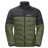 Image de Jack Wolfskin Veste DNA Tundra pour homme, Greenwood, M