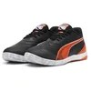 Image de Puma Ibero IV Indoor Football Shoes EU 43