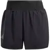 Image de Adidas Short Terrex Xperior Clima365 5´´