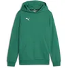 Image de PUMA Teamgoal Casuals Pull à capuche pour garçon