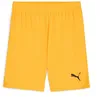 Image de PUMA Short tricoté unisexe Teamgoal Jr
