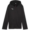Image de PUMA Teamfinal Veste à capuche unisexe en polaire