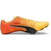 Image de Puma Chaussures De Piste Evospeed Future Fast