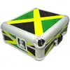 Image de Zomo SL-12 flightcase voor platenspeler Jamaica