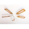Image de Kisa Deluxe Ceiling Fan 105 cm White Wing Oak/Walnut Including Lighting and Pull Switch