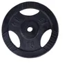Image de Gorilla Sports® Disques de Poids - 1,25kg, 2,5kg, 5kg, 10kg, 15kg, 20kg Set de 2kg, 27,5kg, 30kg, Ø 30/31mm, Fonte, Argent/Noir - Disques d'Haltères, Ensemble de Plaques, Musculation, Fitness, Gym