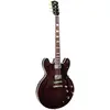 Image de Sigma Guitars HBW-102H-DS Semi-Hollow Humbucker walnut semi-akoestische gitaar + case