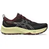 Image de Asics Chaussures De Running Trabuco Terra 3