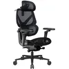 Image de ThunderX3 Flex Pro Mesh Chaise de bureau ergonomique - Chaise de jeu réglable avec dossier haut, soutien lombaire, inclinaison synchrone et avant, mécanisme d'auto-ajustement 19D, noir