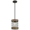 Image de Westinghouse Lighting 6118040 Lampe suspendue d'intérieur Langston à une lampe au style vintage, finition bronze huilé avec accents de pin vintage et abat-jour cage