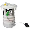 Image de Delphi Unité de transport de carburant FG1097-12B1