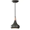 Image de Beso 1lt Mini Pendant