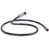 Image de Câbles coaxiaux QED Reference Digital Audio 40 (3 m)