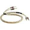 Image de QED Golden Anniversary XT (2 x 2 m)