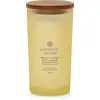 Image de Chesapeake Bay Candle Strength & Energy Pineapple Coconut Large Jar Geurkaars 355 g