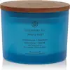 Image de Chesapeake Bay Candle Confidence & Freedom geurkaars 3 lonten - 312 g