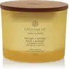 Image de Chesapeake Bay Candle Strength & Energy Geurkaars - 3 Lonten, 312 g