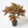 Image de HOMESCAPES Croton Rouge Plante Rouge et Jaune Artificielle en Pot, 65 cm