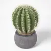 Image de HOMESCAPES Cactus artificiel"Echinocactus Grusonii" en pot en ciment sculpté 38 cm