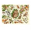 Image de HOP - House of Puzzles Pièces XXL - Oiseaux Des Bois Of-Puzzles-HP0626