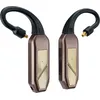 Image de Récepteurs Bluetooth iFi Audio Go pod Max
