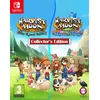 Image de Harvest Moon The Lost Valley + Skytree Village Collector's Edition Nintendo Switch en occasion ou reconditionné
