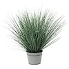 Image de J-Line Graminées en pot Métal Plastique Bleu/Vert Moyen