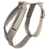 Image de Harnais pour chien actif velours beige L 38-58cm