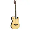 Image de J.N Guitars EW3000CN solid body elektrisch-akoestische westerngitaar