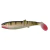 Image de SG LB CANNIBAL 125 BULK PERCH