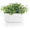 Image de Eva Solo, Self-Arrosage Herb Organiser Blanc, Organiseur pour Plantes, Blanc, Unisexe