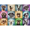 Image de Trefl Funny Dog Portraits 10462