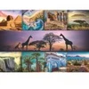 Image de Trefl Afrique 10792