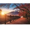 Image de Trefl Photo Odyssée : Mont Fuji , Japon 10817