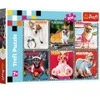 Image de Trefl Cheerful Dogs 13279