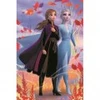 Image de Trefl Mini Puzzle - Dans l'univers d'Anna & Elsa - Disney La Reine des Neiges II 19639