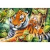 Image de Trefl Deux Tigres 26159